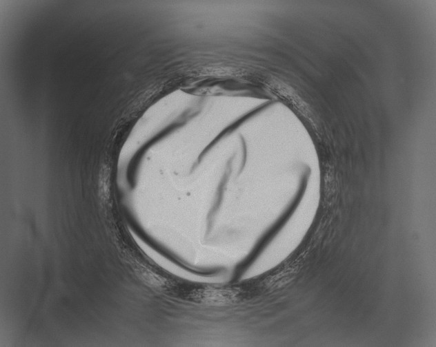 X0000075330305200610061635