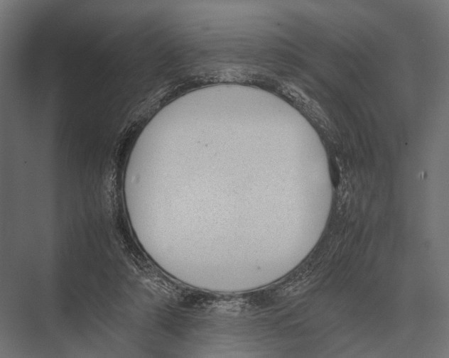 X0000075330306200610061635