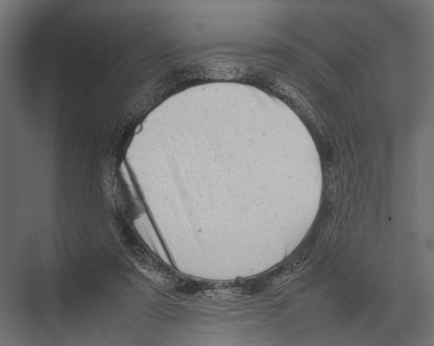 X0000075330307200610061635