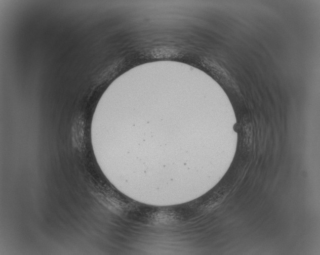 X0000075330308200610061635