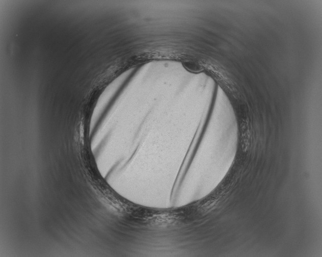 X0000075330310200610061635