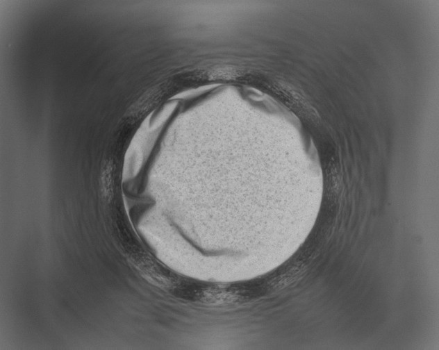 X0000075330311200610061635