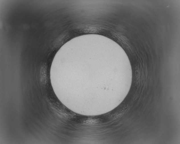 X0000075330312200610061635