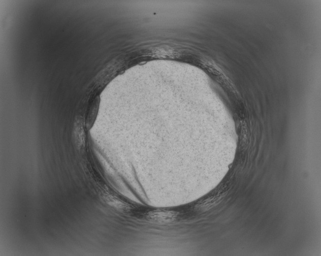 X0000075330313200610061635