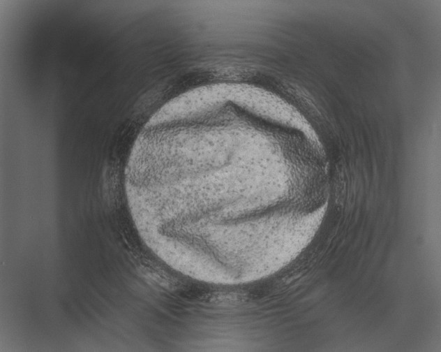 X0000075330314200610061635