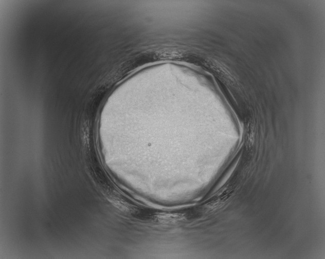 X0000075330315200610061635