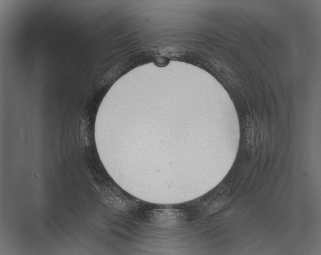 X0000075330316200610061635