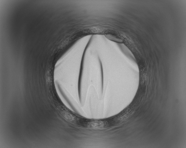 X0000075330317200610061635