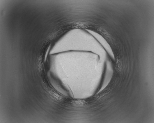 X0000075330318200610061635