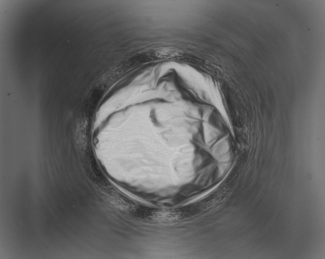 X0000075330319200610061635