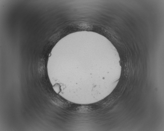 X0000075330320200610061635