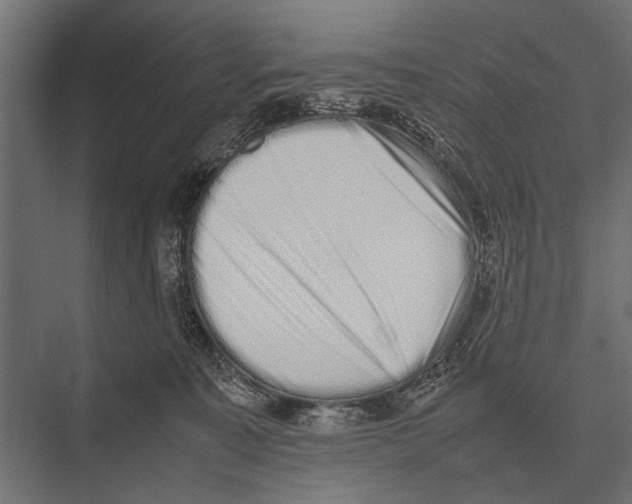 X0000075330323200610061635