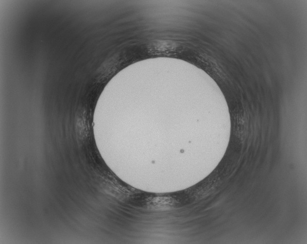 X0000075330324200610061635