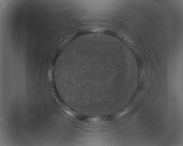 X0000075330325200610061635