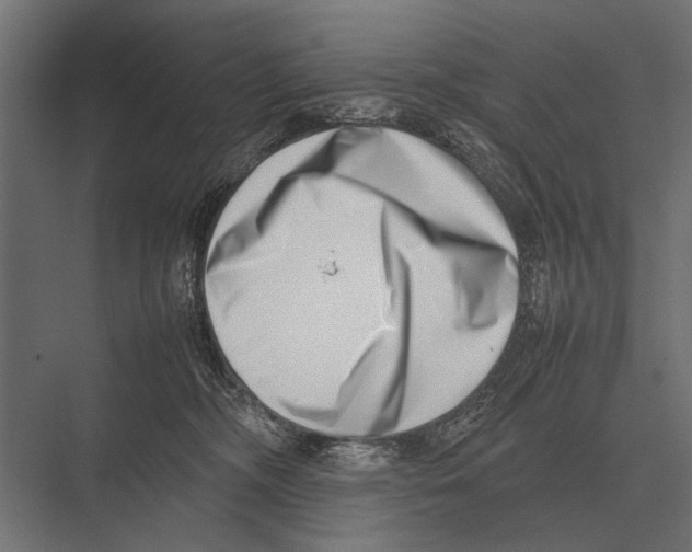 X0000075330326200610061635