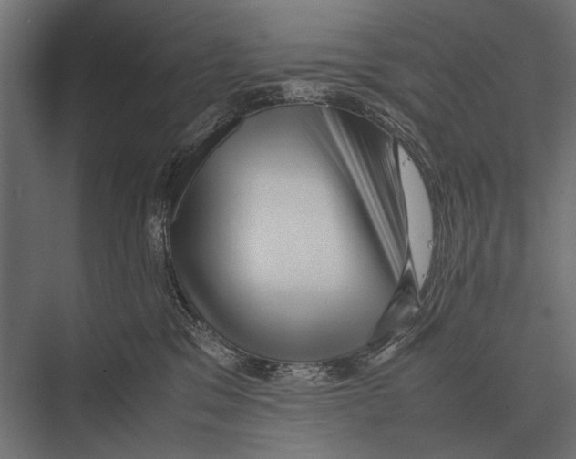 X0000075330329200610061635