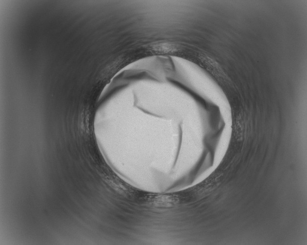 X0000075330330200610061635