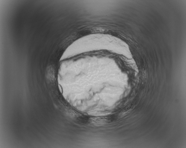 X0000075330331200610061635