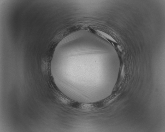 X0000075330333200610061635