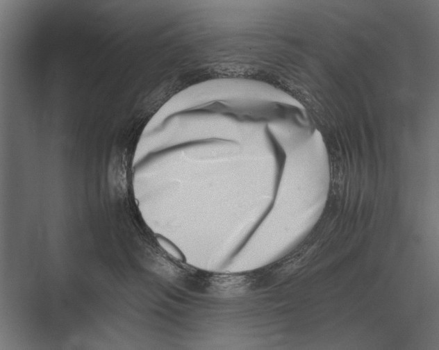 X0000075330334200610061635