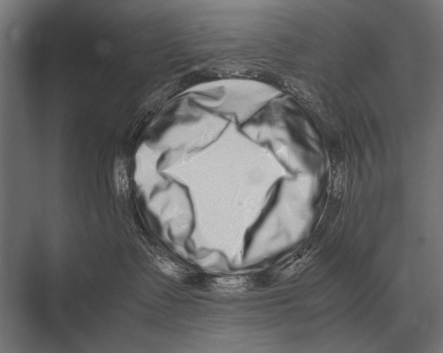 X0000075330335200610061634