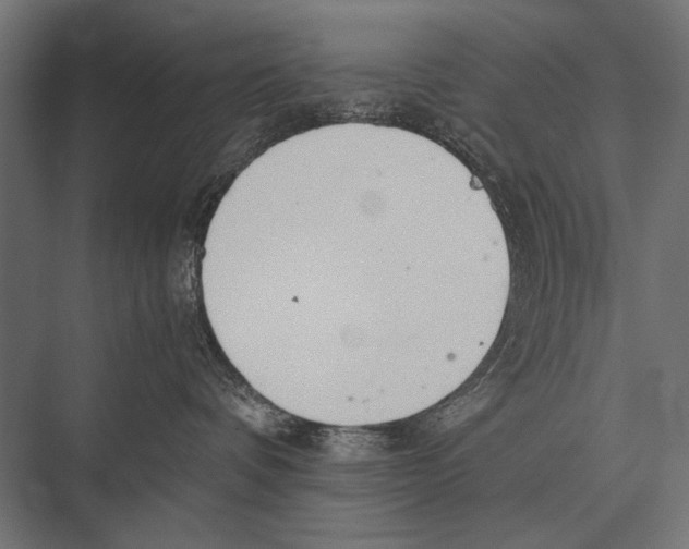 X0000075330336200610061634