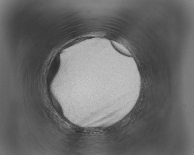 X0000075330337200610061634