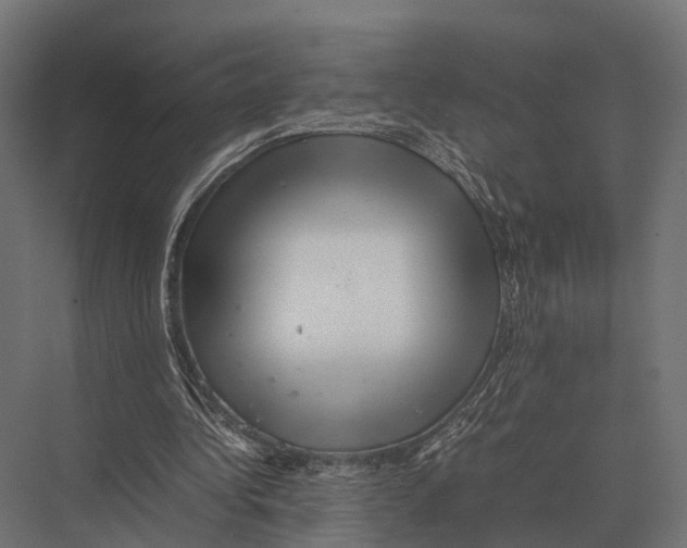 X0000075330340200610061634