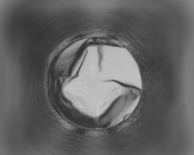 X0000075330341200610061634