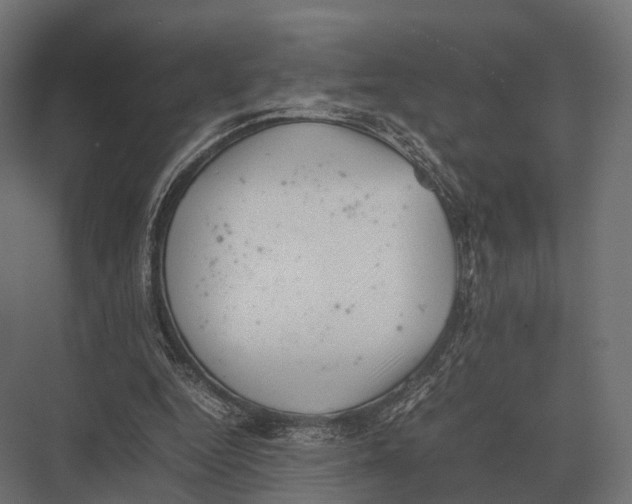 X0000075330344200610061634