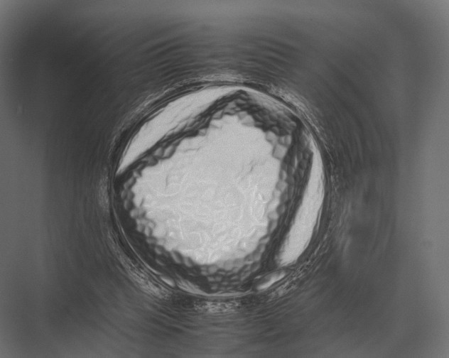 X0000075330345200610061634