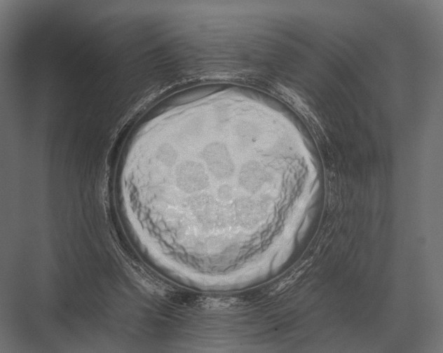 X0000075330346200610061634