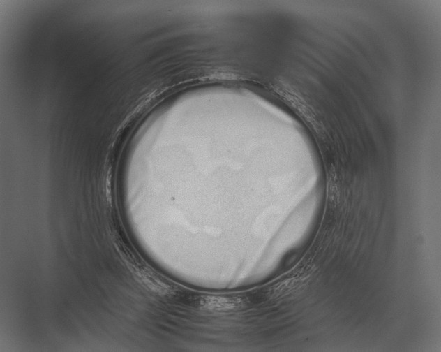 X0000075330347200610061634