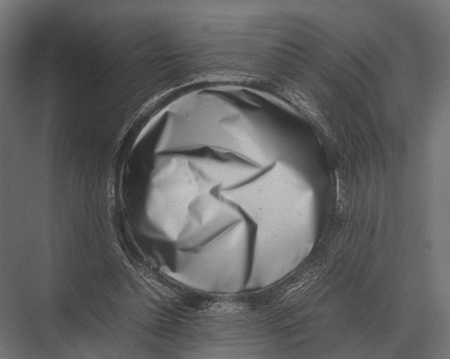 X0000075330348200610061634