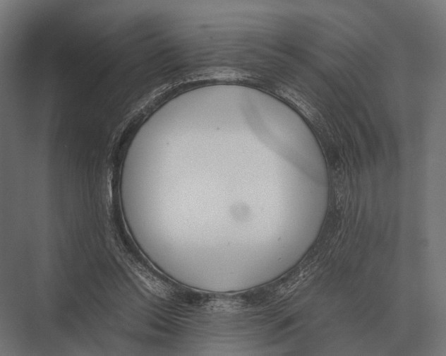 X0000075330350200610061634