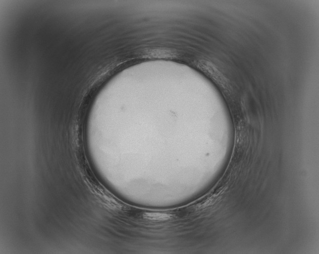 X0000075330351200610061634