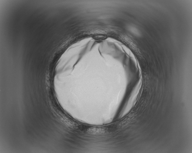 X0000075330354200610061634