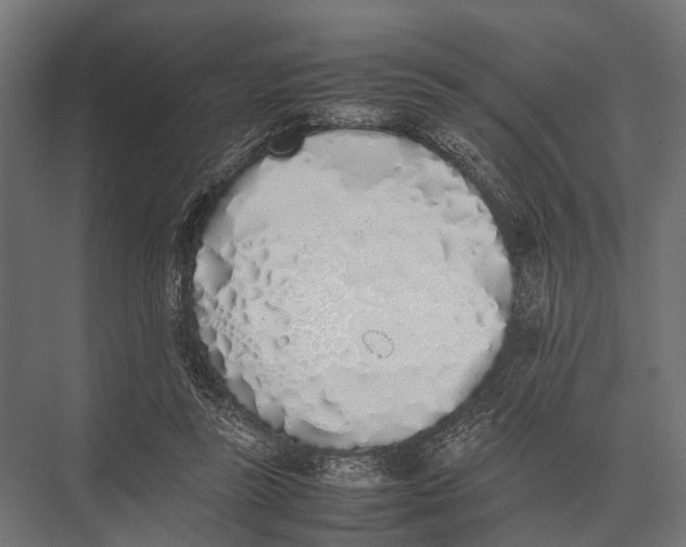 X0000075330355200610061634