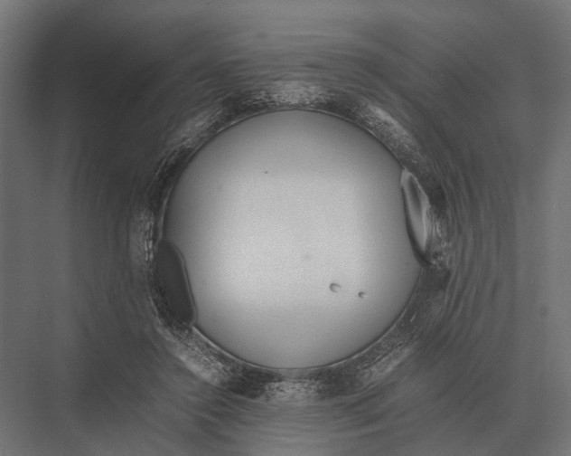 X0000075330356200610061634