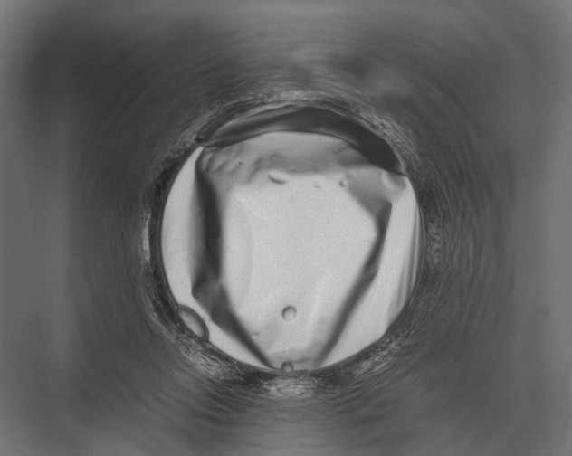 X0000075330358200610061634