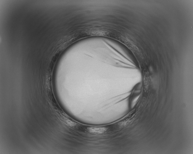 X0000075330359200610061634