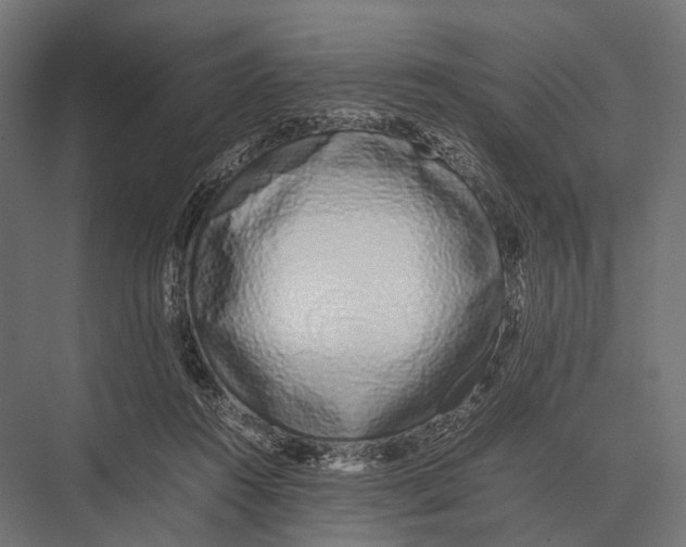 X0000075330360200610061634