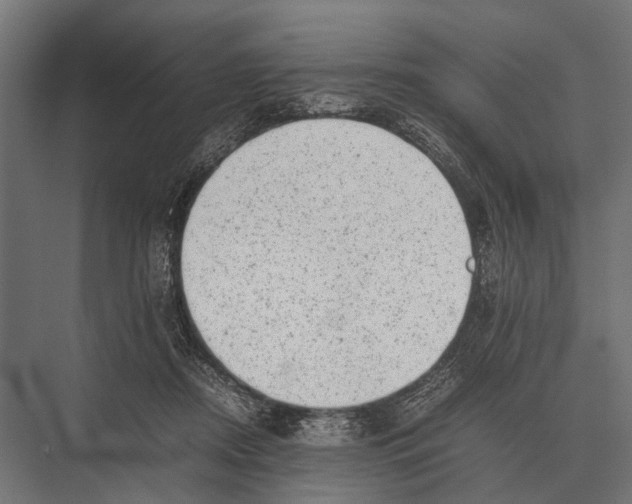 X0000075330362200610061634