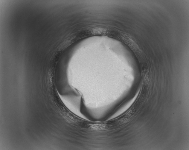 X0000075330363200610061634