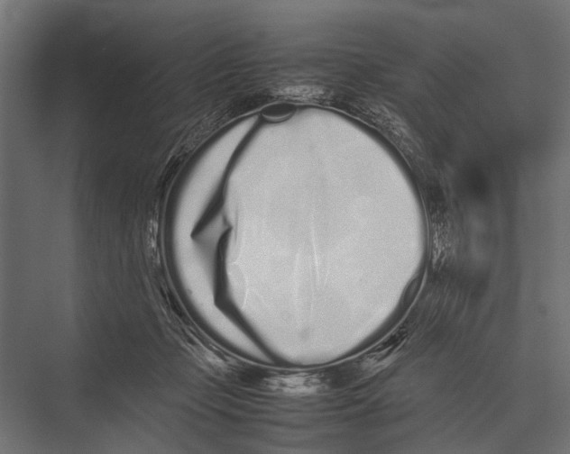 X0000075330365200610061634