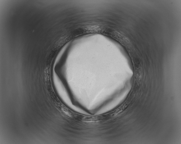 X0000075330369200610061634