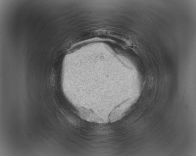 X0000075330375200610061634