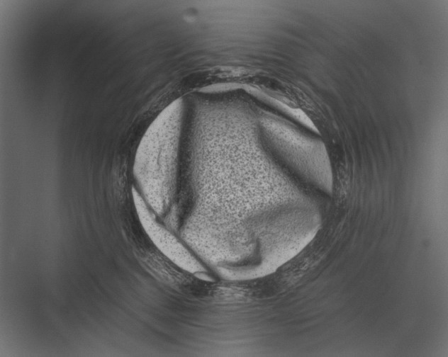 X0000075330376200610061634