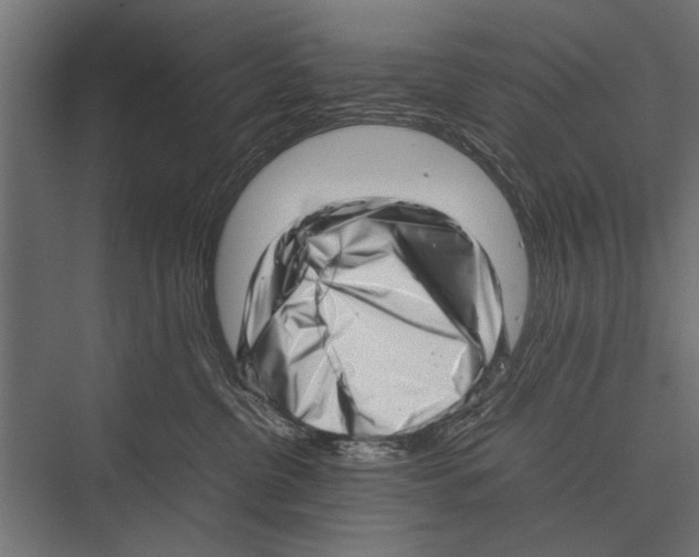 X0000075330380200610061634