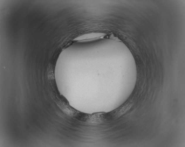 X0000075330384200610061634